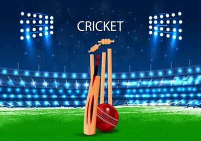 How To Play Fantasy Cricket And Earn A Good Amount From It?